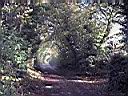 Nayland Hall Bridleway 01, Suffolk.jpg